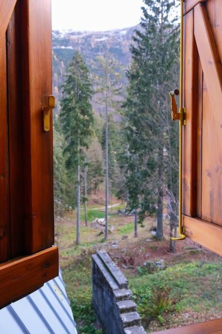 ~Chalet_Rifugio Tra I Boschi~ Sella Nevea Exteriör bild