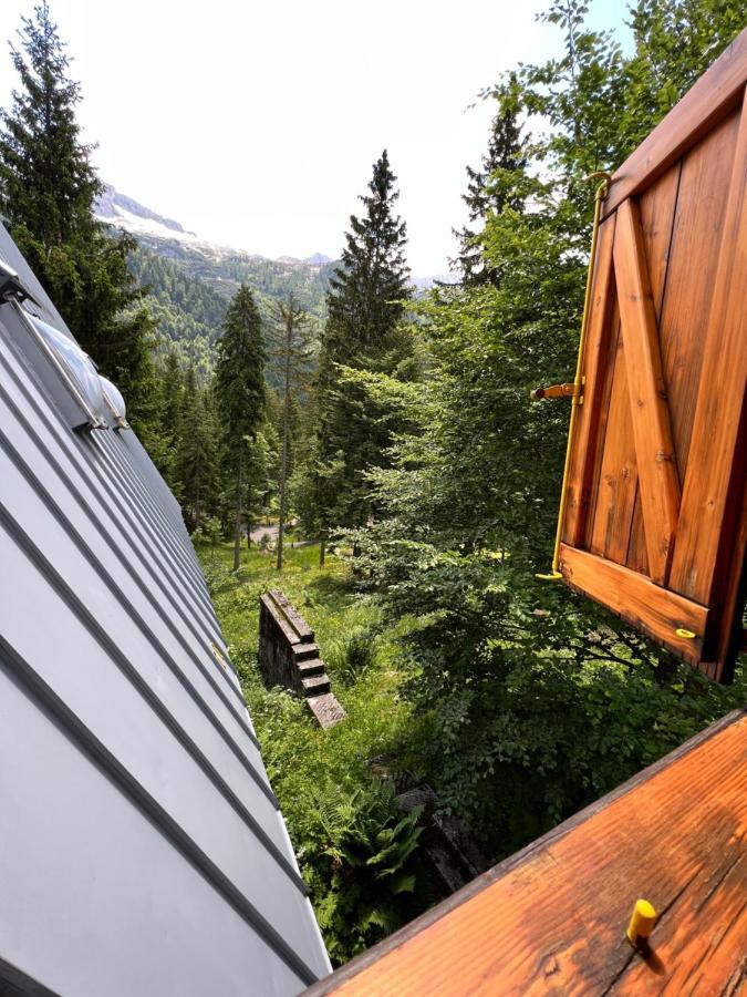 ~Chalet_Rifugio Tra I Boschi~ Sella Nevea Exteriör bild