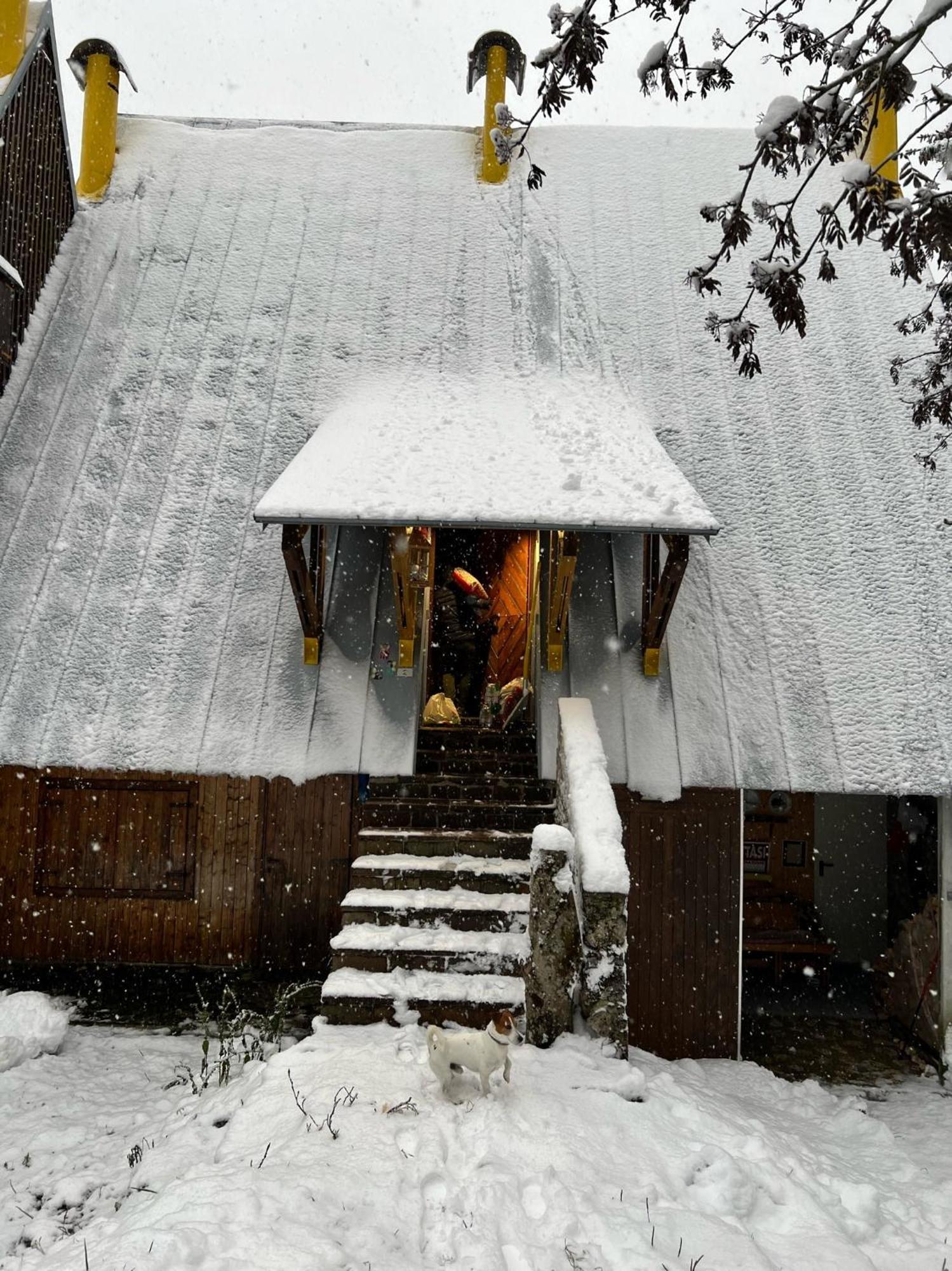 ~Chalet_Rifugio Tra I Boschi~ Sella Nevea Exteriör bild