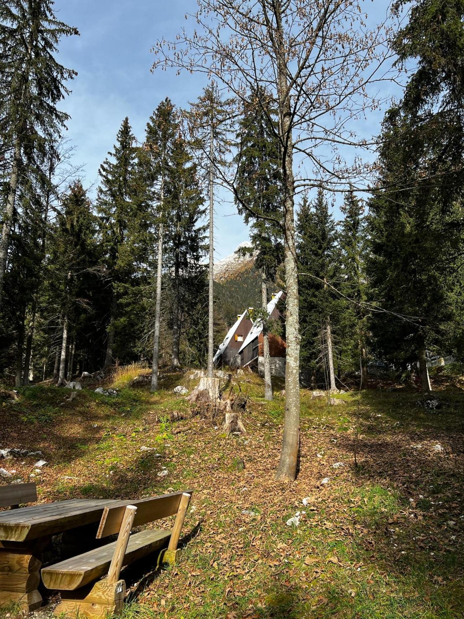 ~Chalet_Rifugio Tra I Boschi~ Sella Nevea Exteriör bild