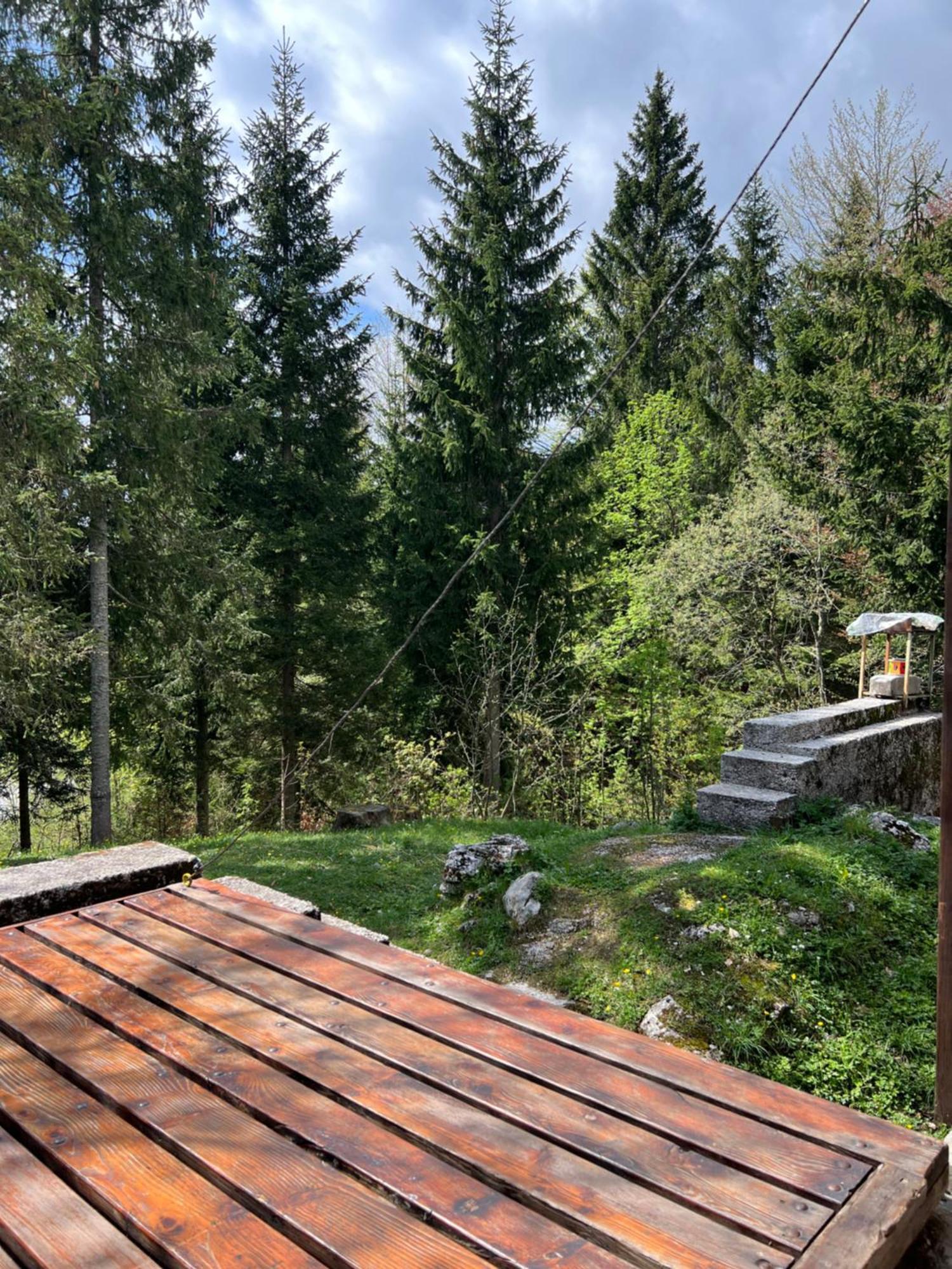 ~Chalet_Rifugio Tra I Boschi~ Sella Nevea Exteriör bild